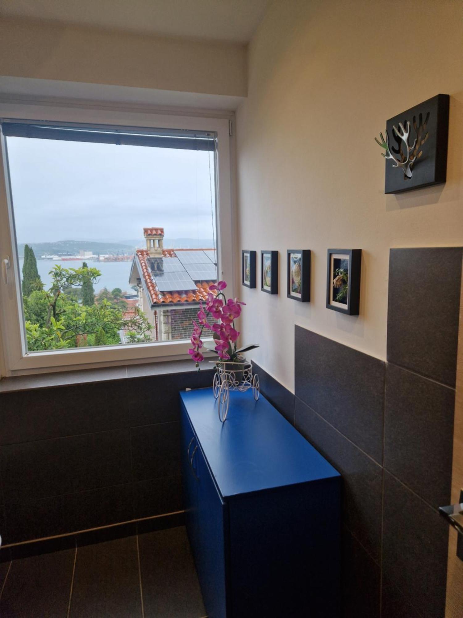 Apartment Apartmans Robo